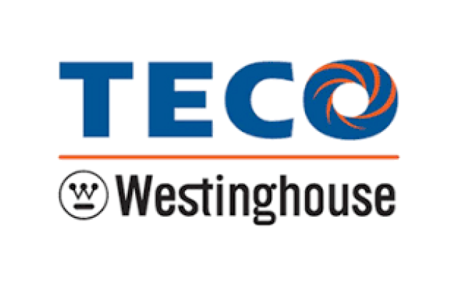 Teco Westinghouse